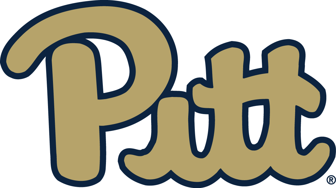 Pittsburgh Panthers 2016-2018 Alternate Logo iron on transfers for clothing